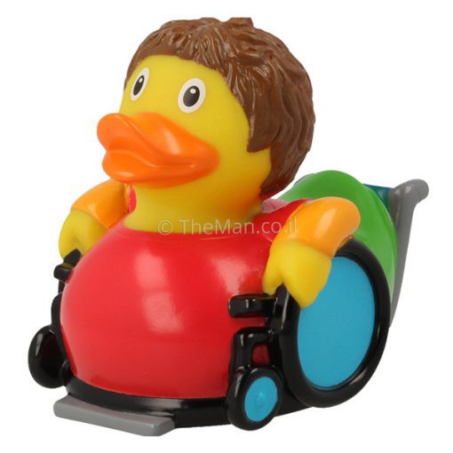ברווז עם כסא גלגלים